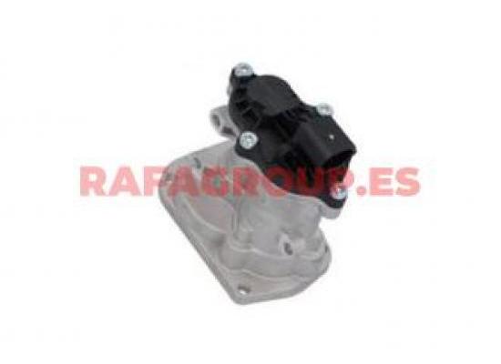 RG555467A - EGR valve